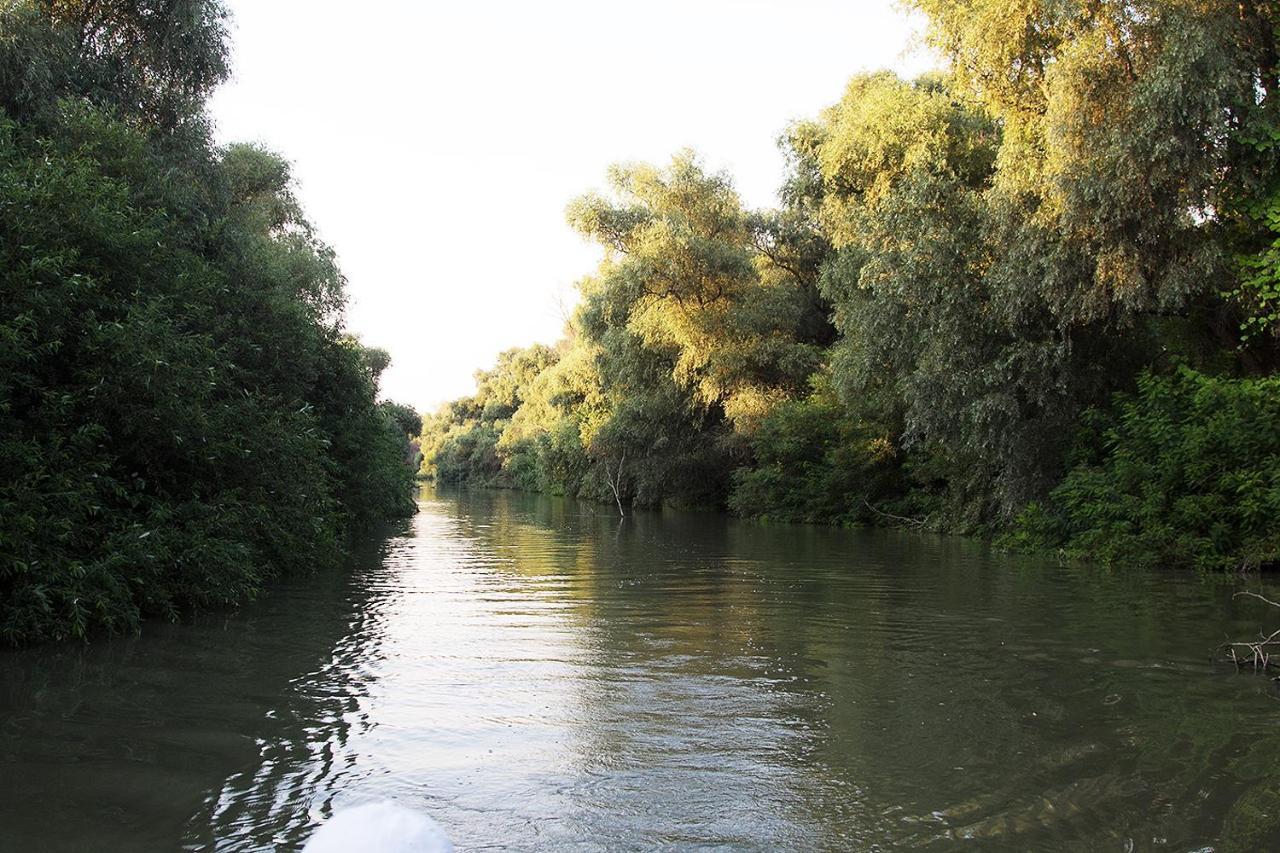 Agropensiunea Beluga Gorgova Esterno foto