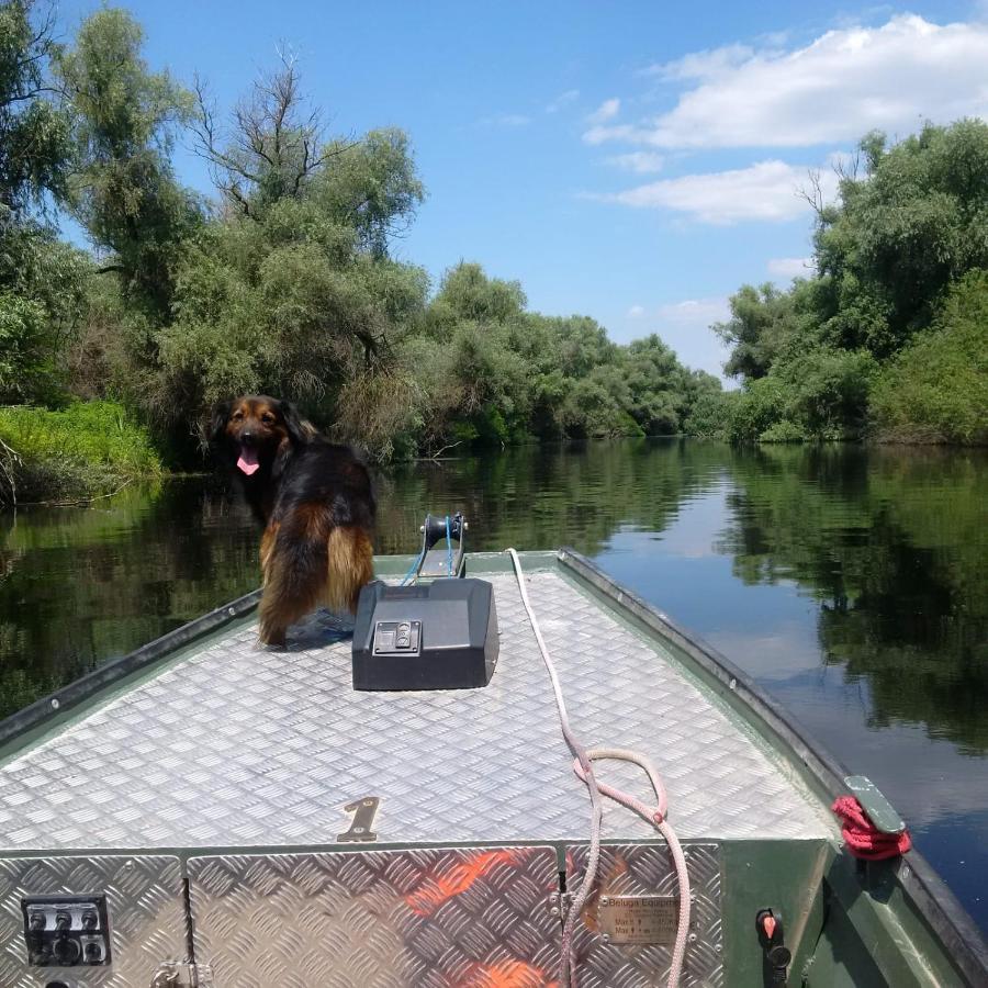 Agropensiunea Beluga Gorgova Esterno foto